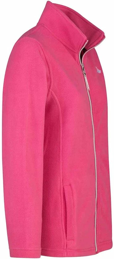 BJØRNSON Jenna Fleece Vest 4 Seizoenen Dames - Rits - Maat 52 - Fuchsia Roze 4 BJØRNSON Jenna Fleece Vest 4 Seizoenen Dames - Rits - Maat 52 - Fuchsia Roze - Afbeelding 2