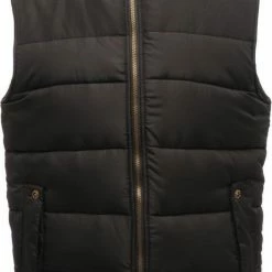Regatta Mens Standout Altoona Insulated Bodywarmer Jacket
