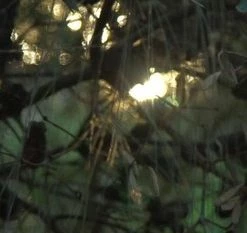 Memobottle Slim - Drinkfles - Transparant - 450ML -Stroller shop 550x233