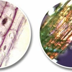 National Geographic Telescoop- En Microscoopset Voor Kinderen Incl. Accessoires -Stroller shop 550x265 5