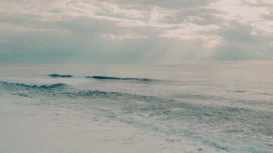 Waterdichte Verrekijker Wildpix XD 10x50 - Compact En Gas Gevuld Voor Volwassenen - Vogelen , Wildlife En Outdoor - Zwart 4 Waterdichte Verrekijker Wildpix XD 10x50 - Compact En Gas Gevuld Voor Volwassenen - Vogelen , Wildlife En Outdoor - Zwart - Afbeelding 2