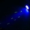 Holland Animal Care Zaklantaarn 5-led UV Black Light -Stroller shop 550x365 5