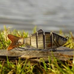 Merkloos Swimbait Karper Kunstaas Met 3D Ogen Voor Snoek - 10 Cm - 20 Gr - 6 Kunstazen 7 Merkloos Swimbait Karper Kunstaas Met 3D Ogen Voor Snoek - 10 Cm - 20 Gr - 6 Kunstazen -Stroller shop 550x366 64