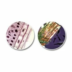 National Geographic Telescoop- En Microscoopset - Voor Kinderen 19 National Geographic Telescoop- En Microscoopset - Voor Kinderen -Stroller shop 550x455 3