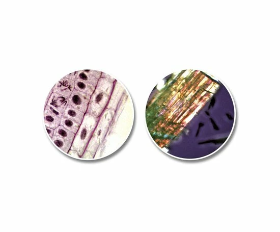 National Geographic Telescoop- En Microscoopset - Voor Kinderen 9 National Geographic Telescoop- En Microscoopset - Voor Kinderen - Afbeelding 7