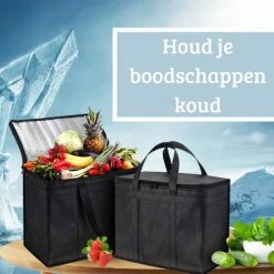 Janse Koeltas - Koelzak - Lunchtas - Coolerbag - Cooltas - Picknicktas -Stroller shop 550x499