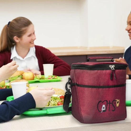 Biggdesign Koeltas - Lunchtas - Koeltasje - Warmhoud Tas - Thermo Bag 9 Biggdesign Koeltas - Lunchtas - Koeltasje - Warmhoud Tas - Thermo Bag - Afbeelding 7