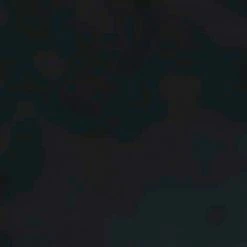 FALKE TK5 Wander Wandelsokken Mid-rise Zacht Thermisch Anti-blaar Antizweet Zonder Motief Met Elastische Boord Warm Admend Merinowol Zwart Heren Sportsokken - Maat 44-45 25 FALKE TK5 Wander Wandelsokken Mid-rise Zacht Thermisch Anti-blaar Antizweet Zonder Motief Met Elastische Boord Warm Admend Merinowol Zwart Heren Sportsokken - Maat 44-45 -Stroller shop 550x550 239