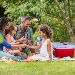 AREBOS Koelbox 40 L Auto Camping Thermo-elektrische Verwarmingsbox F 12V, 230V -Stroller shop 550x550 295