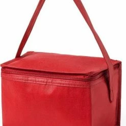 Merkloos Klein Mini Koeltasje - Sixpack Blikjes - Compacte Koelbox/koeltassen En Elementen - Rood